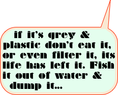 if it’s grey & plastic don’t eat it, or even filter it, its life has left it. Fish it out of water & dump it...