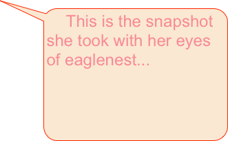     This is the snapshot she took with her eyes of eaglenest...


