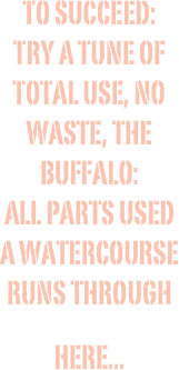 To Succeed:
try a tune of  total use, no waste, the
buffalo: 
all parts used
A watercourse runs through here... 