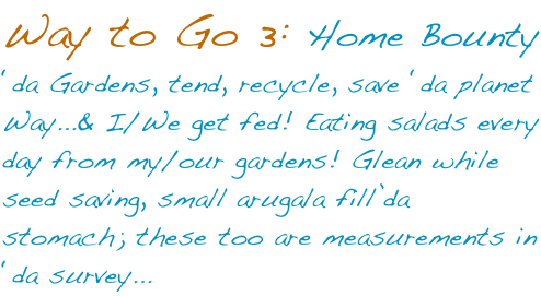 Way to Go 3: Home Bounty 
‘da Gardens, tend, recycle, save ‘da planet Way...& I/We get fed! Eating salads every day from my/our gardens! Glean while seed saving, small arugala fill’da stomach; these too are measurements in  ‘da survey...