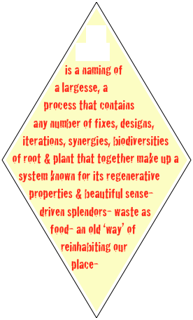 Eco-Machine is a naming of a largesse, a process that contains any number of fixes, designs, iterations, synergies, biodiversities of root & plant that together make up a system known for its regenerative properties & beautiful sense- driven splendors- waste as food- an old ‘way’ of reinhabiting our place-




