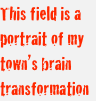 This field is a portrait of my town’s brain
transformation