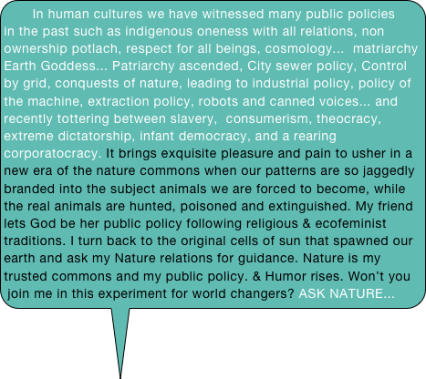     In human cultures we have witnessed many public policies in the past such as indigenous oneness with all relations, non ownership potlach, respect for all beings, cosmology...  matriarchy Earth Goddess... Patriarchy ascended, City sewer policy, Control by grid, conquests of nature, leading to industrial policy, policy of the machine, extraction policy, robots and canned voices... and recently tottering between slavery,  consumerism, theocracy, extreme dictatorship, infant democracy, and a rearing corporatocracy. It brings exquisite pleasure and pain to usher in a new era of the nature commons when our patterns are so jaggedly branded into the subject animals we are forced to become, while the real animals are hunted, poisoned and extinguished. My friend lets God be her public policy following religious & ecofeminist traditions. I turn back to the original cells of sun that spawned our earth and ask my Nature relations for guidance. Nature is my trusted commons and my public policy. & Humor rises. Won’t you join me in this experiment for world changers? ASK NATURE...